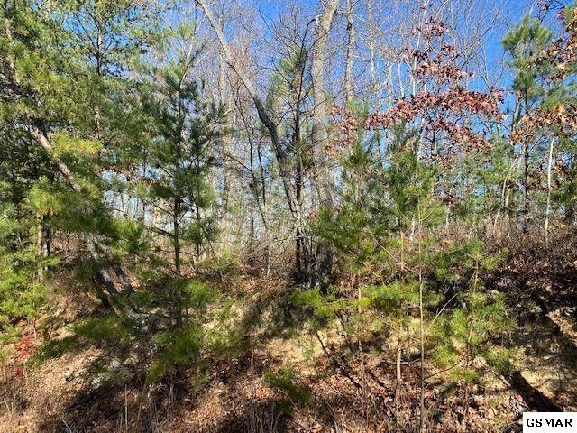 49 Wintergreen Dr Lot 49, Sevierville, TN 37876