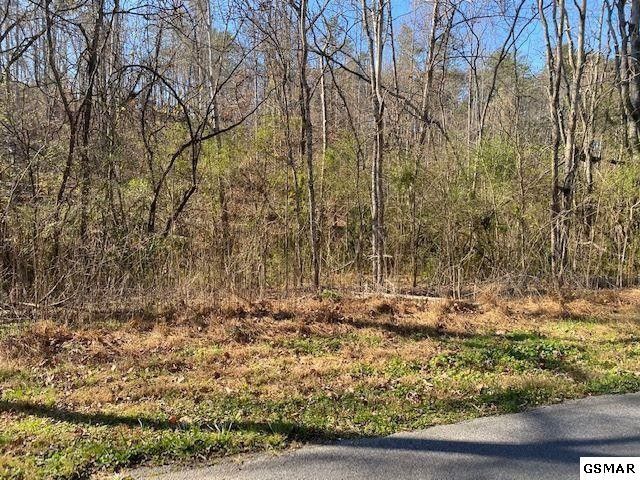 48 Silverbell Dr Lot 48, Sevierville, TN 37876