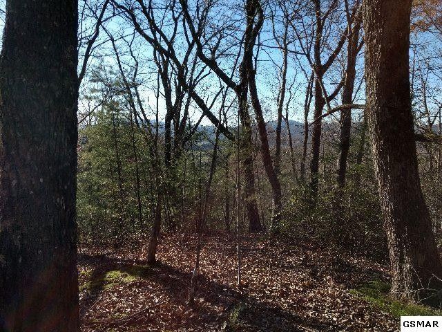 0 Ravens Den Way Lot 3, Sevierville, TN 37862