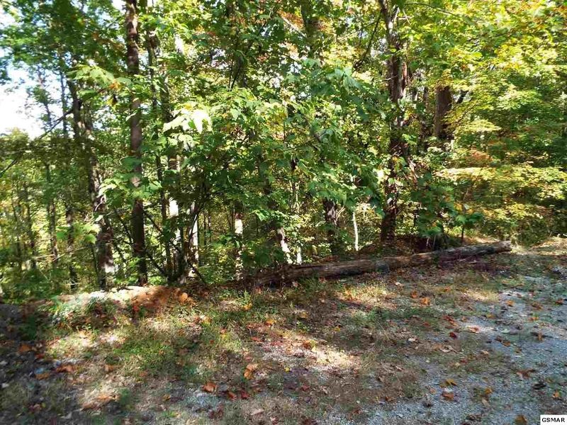 12 Emerald Springs Loop Lot 12, Sevierville, TN 37862