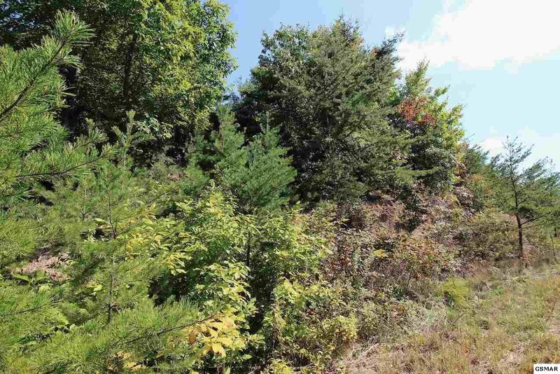 60 Mountain Ash Way Lot 60, Sevierville, TN 37876