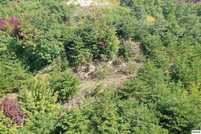 60 Mountain Ash Way Lot 60, Sevierville, TN 37876