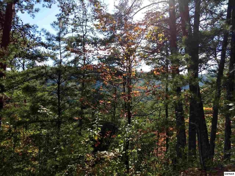 0 Happy Hollow Rd Lot 4, Sevierville, TN 37862