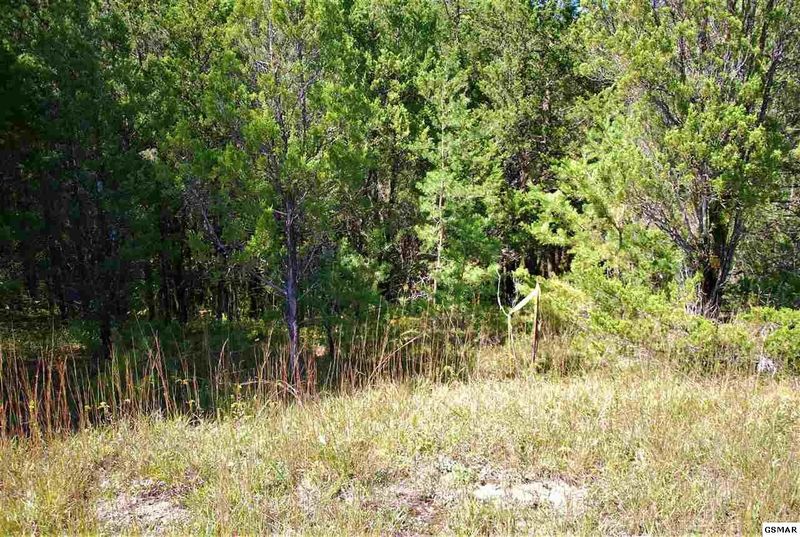 2 Parrotts Chapel Rd Lot 2, Sevierville, TN 37876
