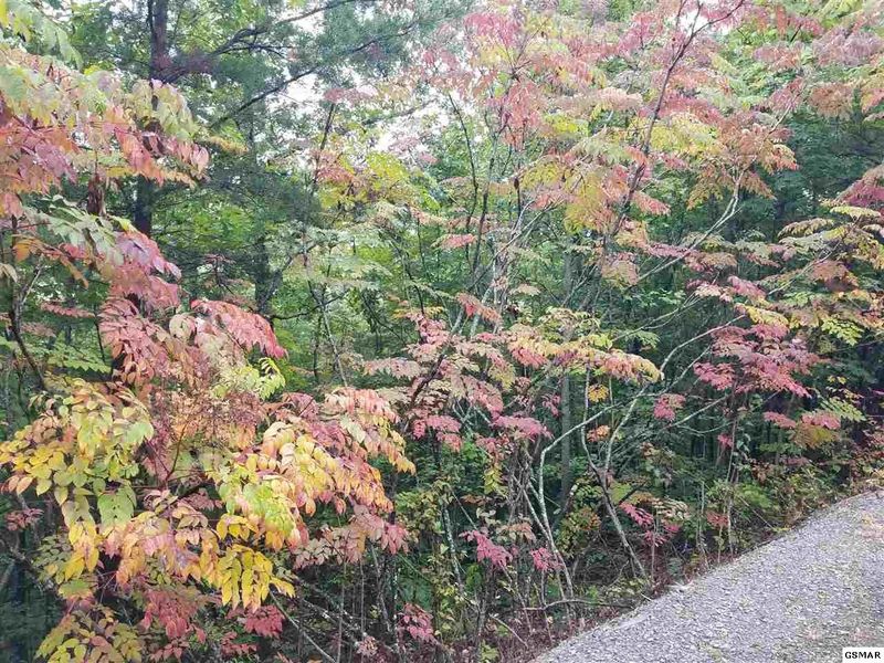 0 Stackstone Rd Lot 16E, Sevierville, TN 37862