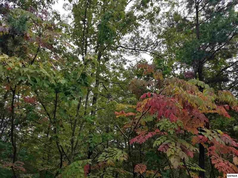 0 Stackstone Rd Lot 16E, Sevierville, TN 37862