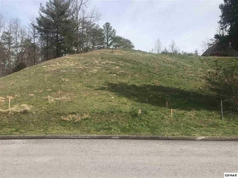 1 Mountain Lodge Way Lot 1, Sevierville, TN 37876