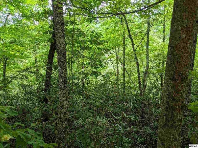 0 Sycamore St Lot 85, Sevierville, TN 37862