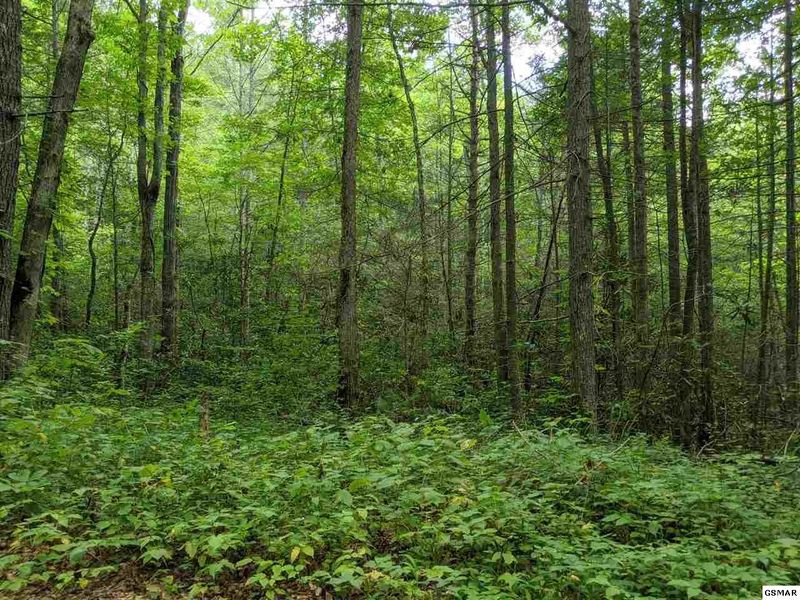 0 Sycamore St Lot 85, Sevierville, TN 37862