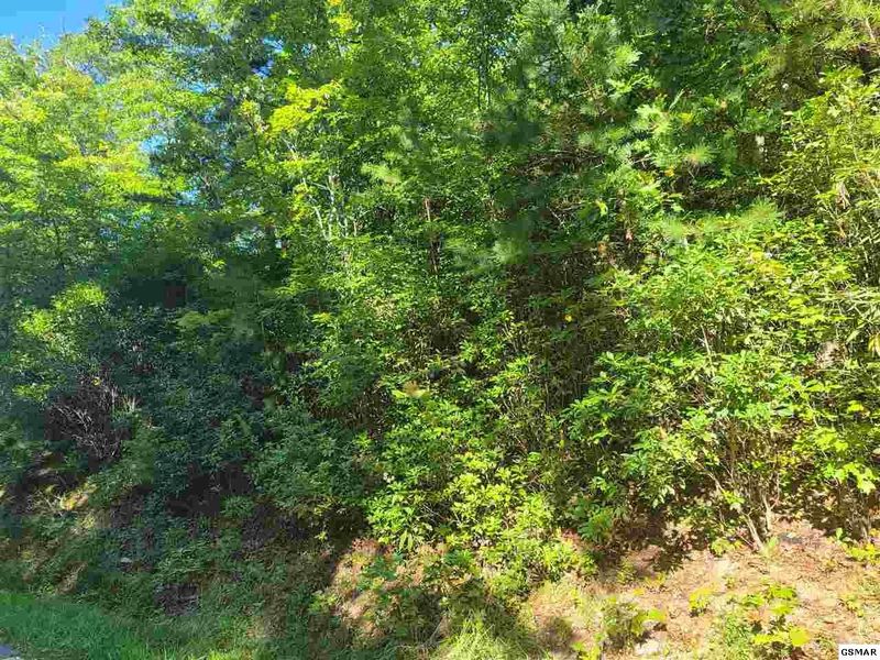 0 Beach Front Lot 1057, Sevierville, TN 37876