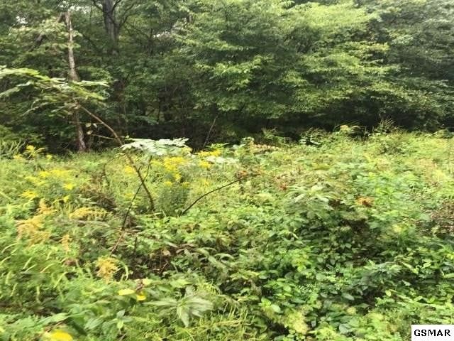 7 Bench Mtn Way Lot 7-C, Sevierville, TN 37862