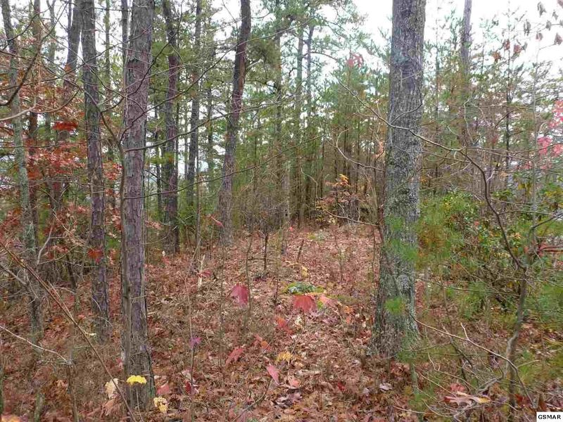 0 4 High Ridge Way Lot 686, Sevierville, TN 37862