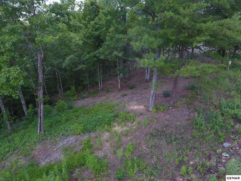 10 Mountain Ash Way Lot 10, Sevierville, TN 37876