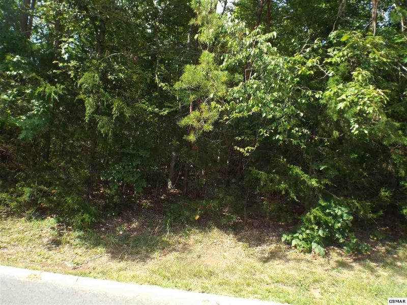 0 Floyd Ln Lot 9, Sevierville, TN 37862