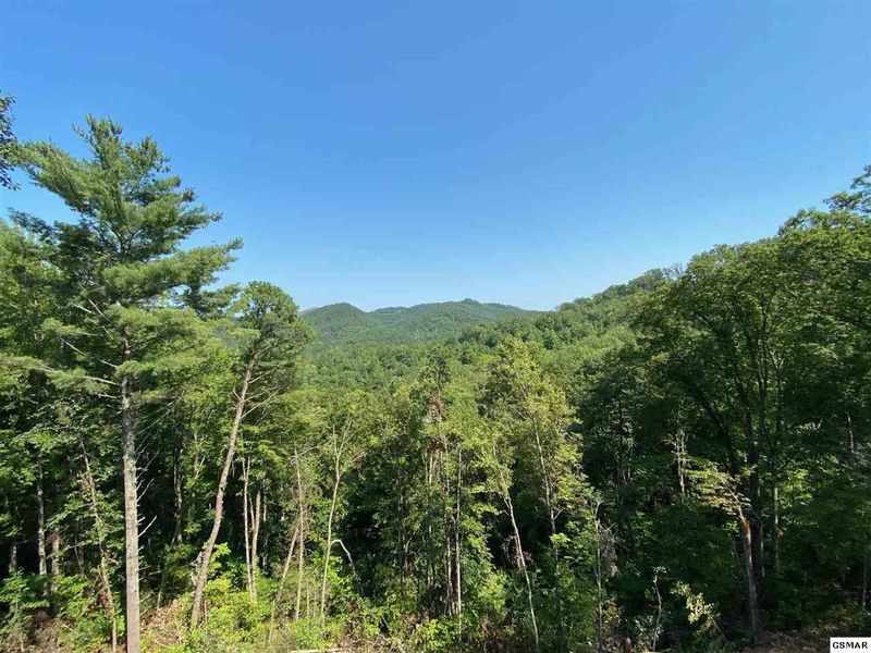2755 Red Sky Dr, Sevierville, TN 37862