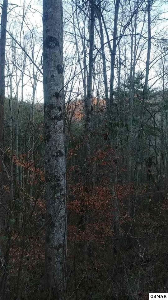 0 And 10 Patty View Way Lot 9&10, Sevierville, TN 37862
