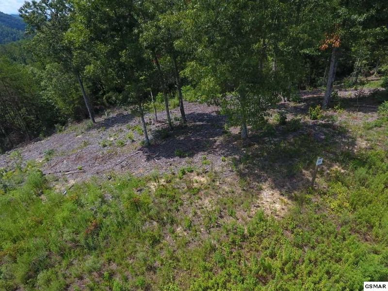 11 Mountain Ash Way Lot 11, Sevierville, TN 37876
