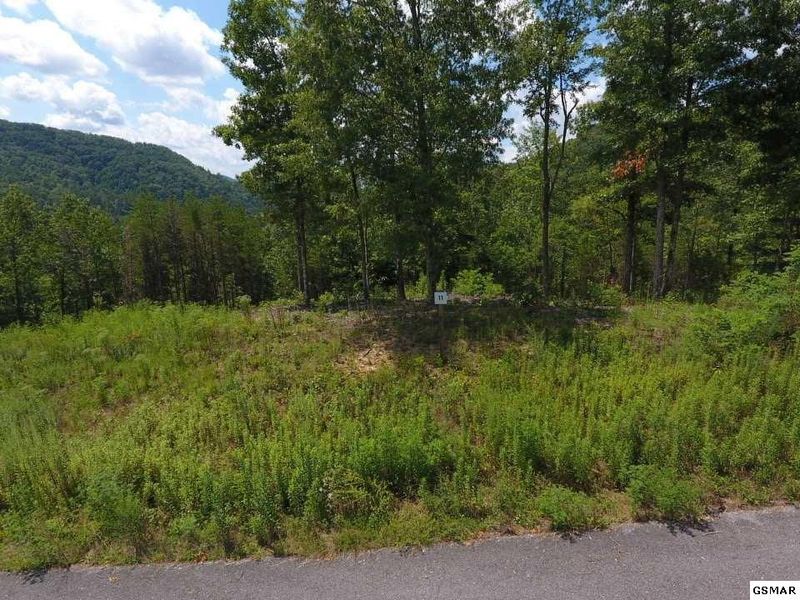 11 Mountain Ash Way Lot 11, Sevierville, TN 37876