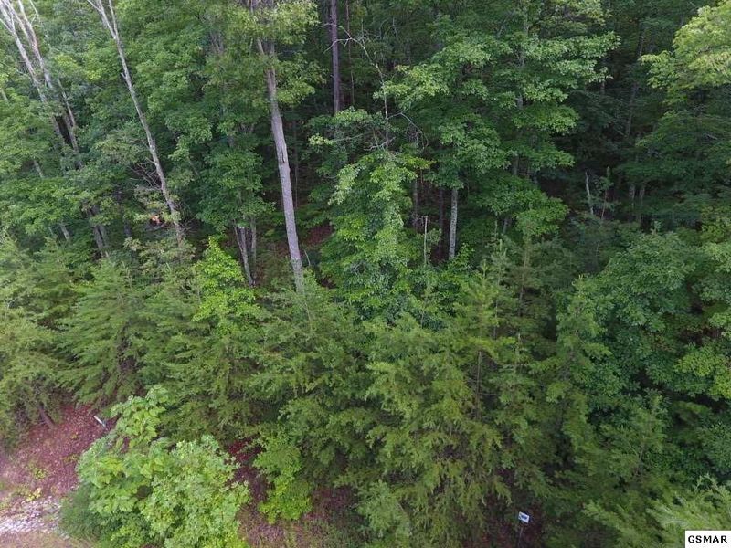 49 Mountain Ash Way Lot 49, Sevierville, TN 37876