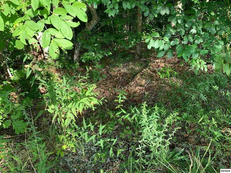 1 Chamberlain Ln Lot 1, Sevierville, TN 37862