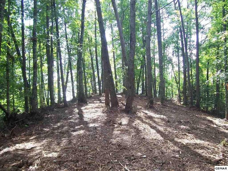 550 Pearl Valley Rd Lot 2, Sevierville, TN 37876