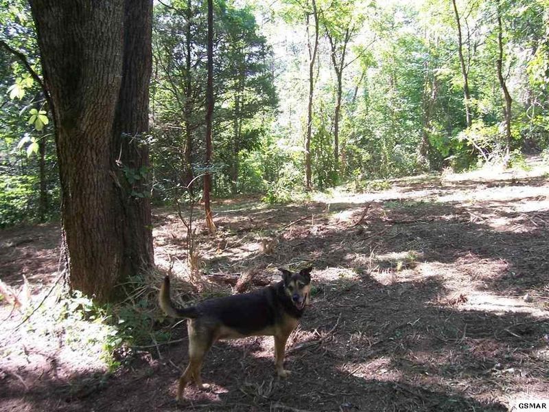 550 Pearl Valley Rd Lot 2, Sevierville, TN 37876