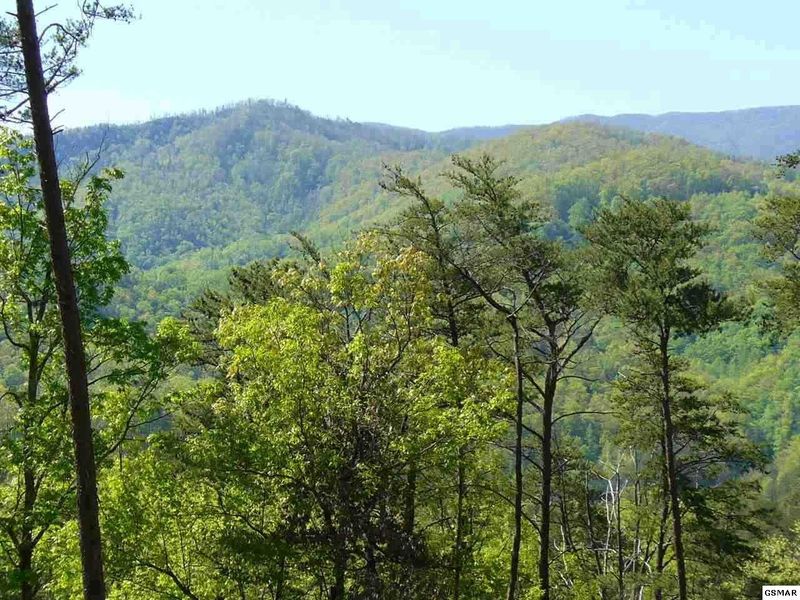 37 Cloud View Dr Lot 37, Sevierville, TN 37862