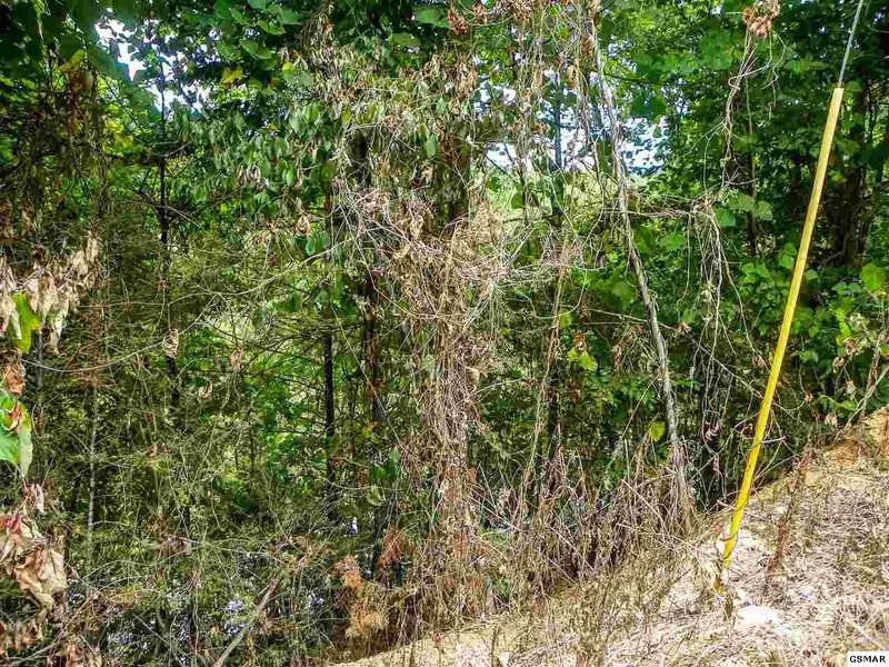 8 Azalea Trl Lot 8, Sevierville, TN 37876