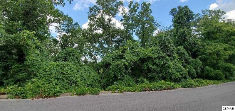 0 Cloud View Dr Lot 47, Sevierville, TN 37862