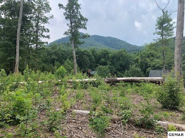 20 Samuel Wear Dr Lot 20, Sevierville, TN 37862