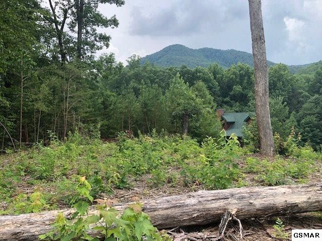 20 Samuel Wear Dr Lot 20, Sevierville, TN 37862