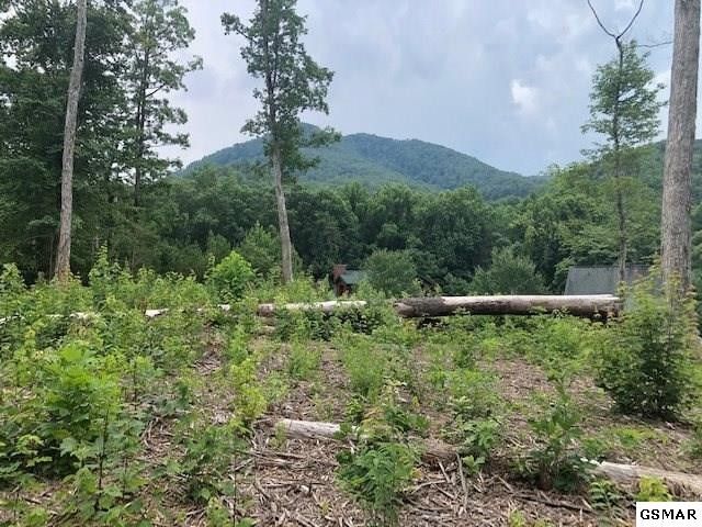 21 Samuel Wear Dr Lot 21, Sevierville, TN 37862