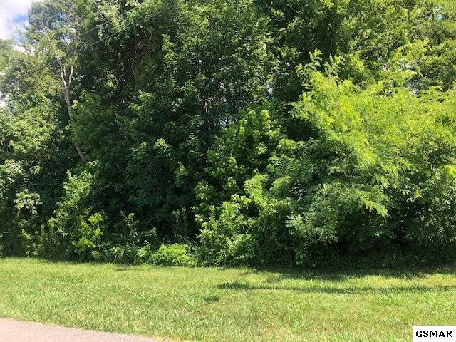159 Island Blvd Lot 159, Sevierville, TN 37876