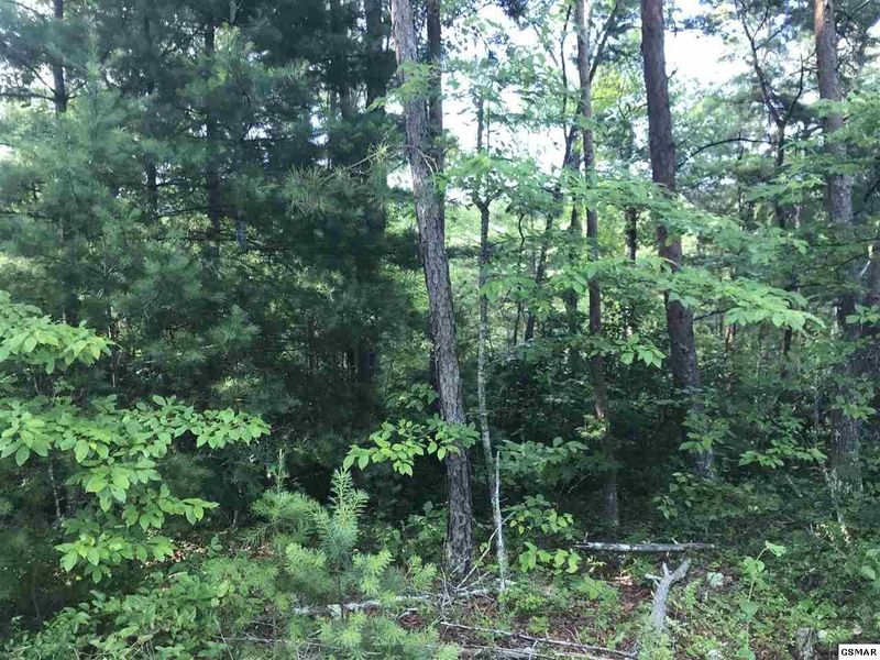 228 Fir St Lot 228, Sevierville, TN 37876