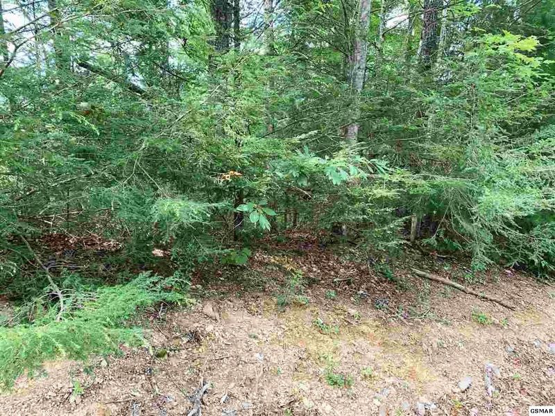 91 Bird View Ln Lot 91, Sevierville, TN 37862