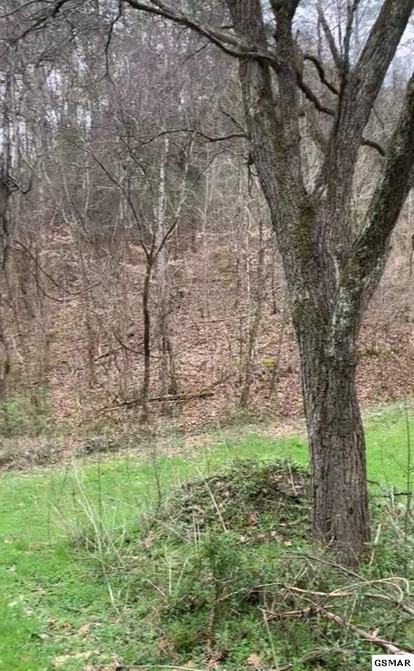 0 Moon Hollow Rd Lot 0008, Sevierville, TN 37876