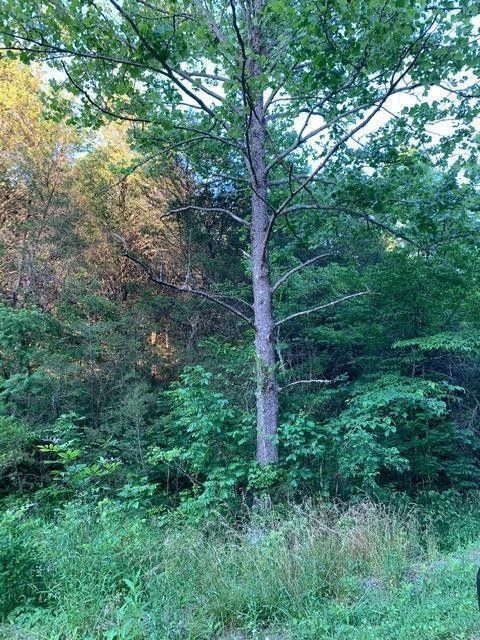67 Legion Way Keats Way Lot 6&7, Sevierville, TN 37876