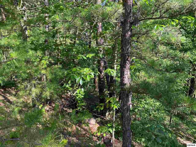 7 Stepping Stone Dr Lot 7, Sevierville, TN 37862