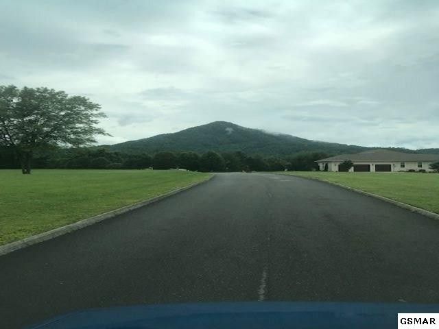 11 Hiley Dr Lot 11, Sevierville, TN 37862