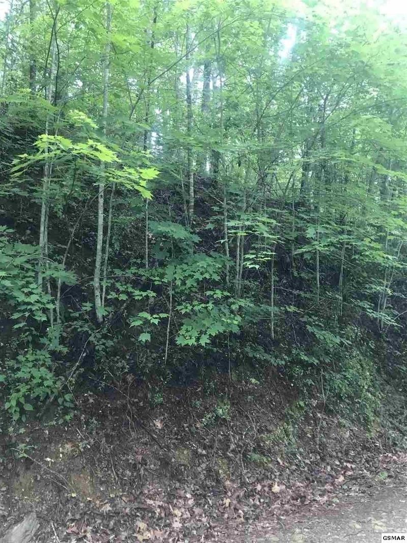 0 Meadow Vw Lot 2, Sevierville, TN 37862