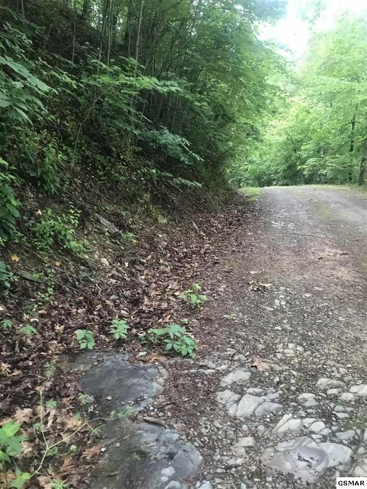 0 Meadow Vw Lot 2, Sevierville, TN 37862