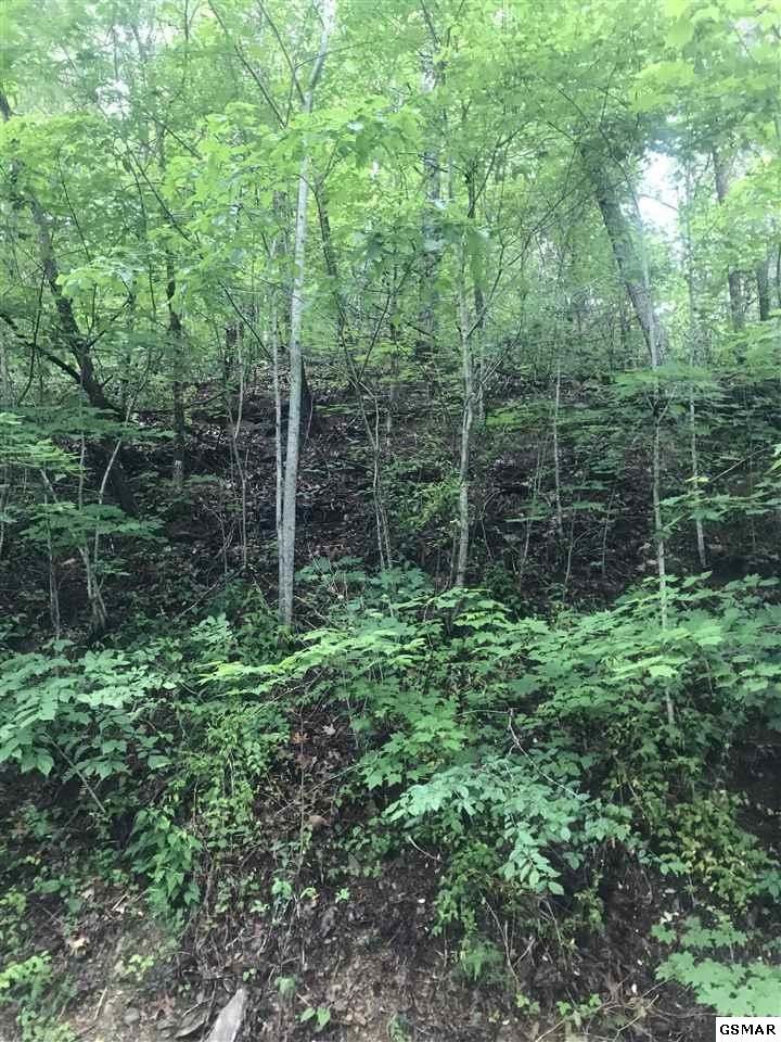 0 Meadow Vw Lot 2, Sevierville, TN 37862