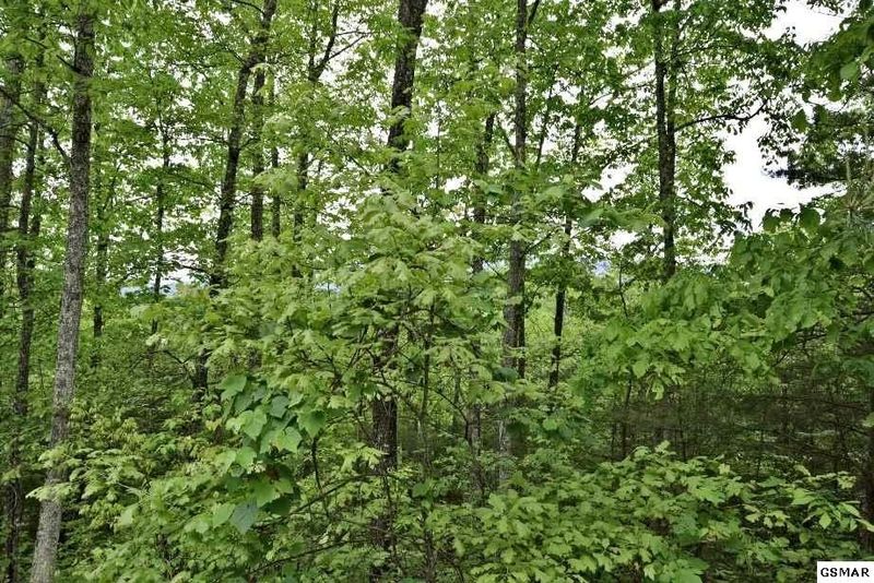 17 Stackstone Rd Lot 17-E, Sevierville, TN 37862
