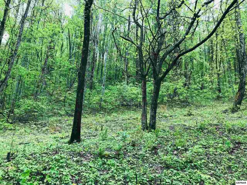 26 Wolf Way Lot 026, Sevierville, TN 37862