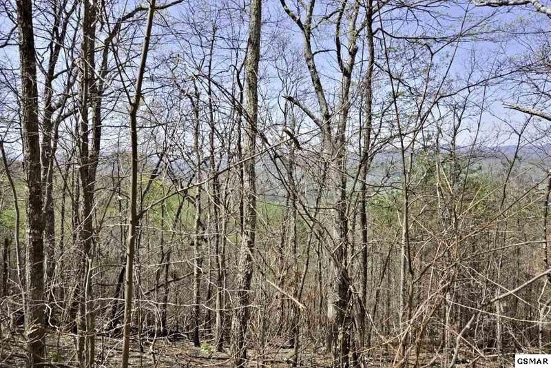 202 Ravens Den Way Lot 20R2, Sevierville, TN 37862