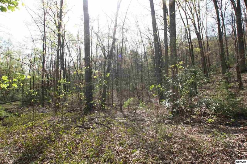 14 Leconte Dr Lot 14, Sevierville, TN 37876