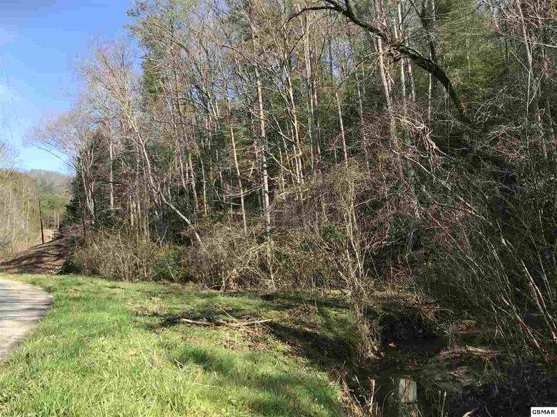1 Obes Branch Rd Lot 1, Sevierville, TN 37876