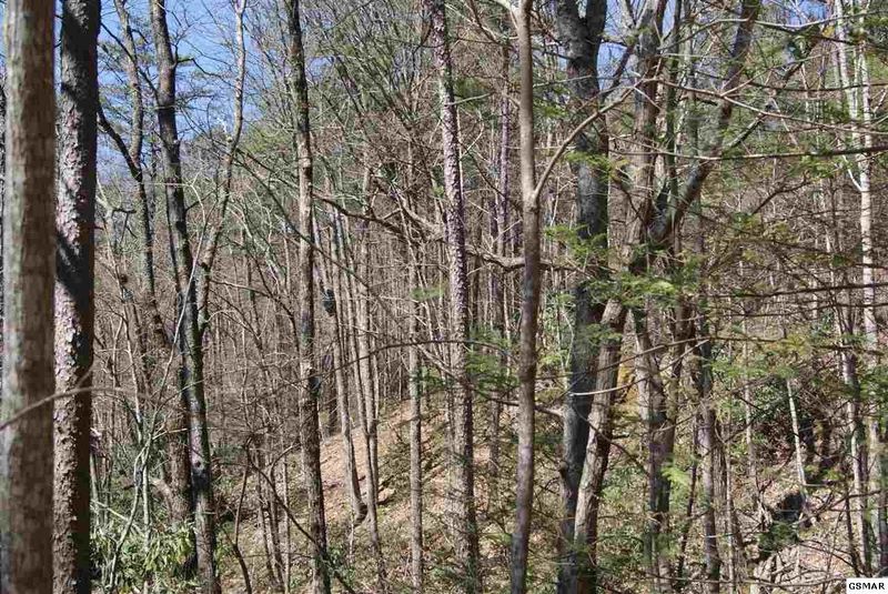 0 Shady Gap Way Lot 0029, Sevierville, TN 37876