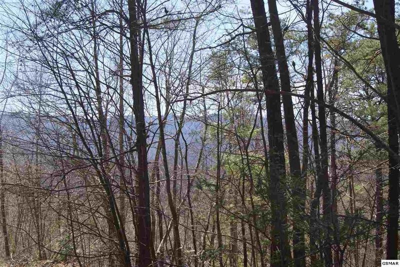 0 Shady Gap Way Lot 0029, Sevierville, TN 37876