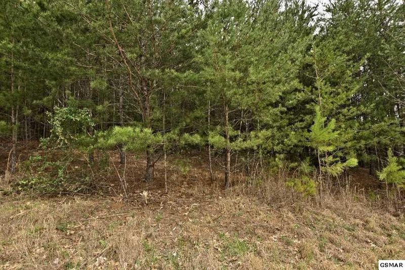 3 Nicoha Blvd Lot 3, Sevierville, TN 37876
